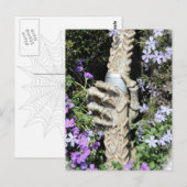 Skelethand - Gothic / carte postale (Devant / Derrière)