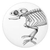 skeletknop keramische knop (Voorkant)