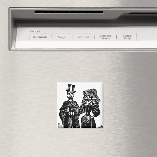 Skeletkoppeling - Magnet #3 Magneet (Insitu (Vaatwasser))