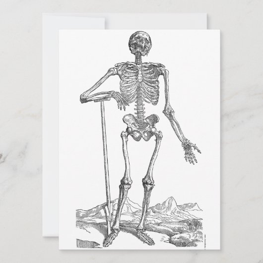 Skeleton (Voorkant)