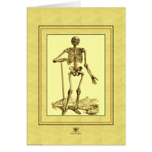 Skeleton