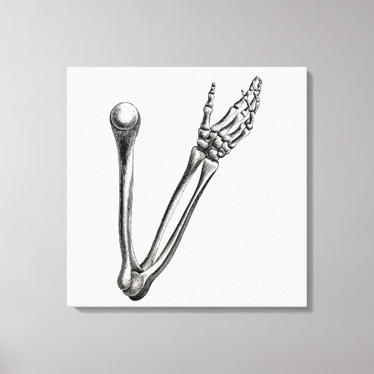 Skeleton Arm Bone Persoonlijke Retro Botten Canvas Afdruk (Voorkant)