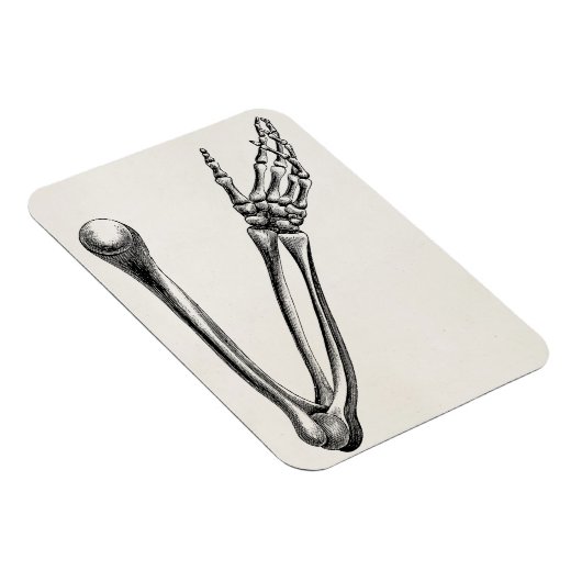 Skeleton Arm Bone Persoonlijke Retro Botten Magneet (Rechterzijde)