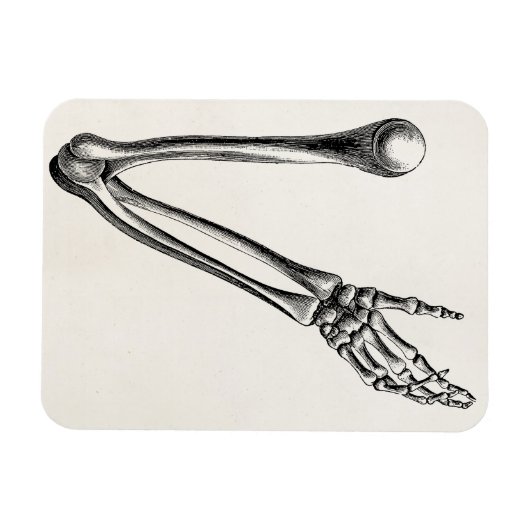 Skeleton Arm Bone Persoonlijke Retro Botten Magneet (Horizontaal)