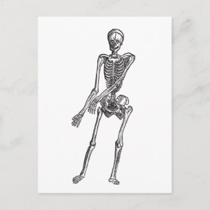Skeleton Briefkaart