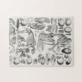 SKELETON DEATH FOSSIL Mammalia Legpuzzel (Horizontaal)