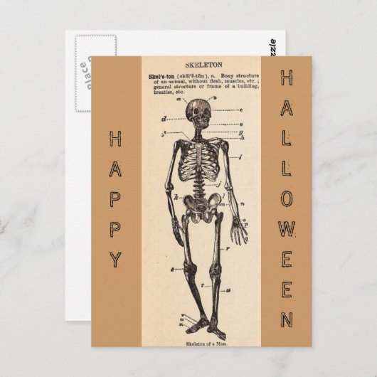 "Skeleton" Definitie Briefkaart (Voorkant / Achterkant)