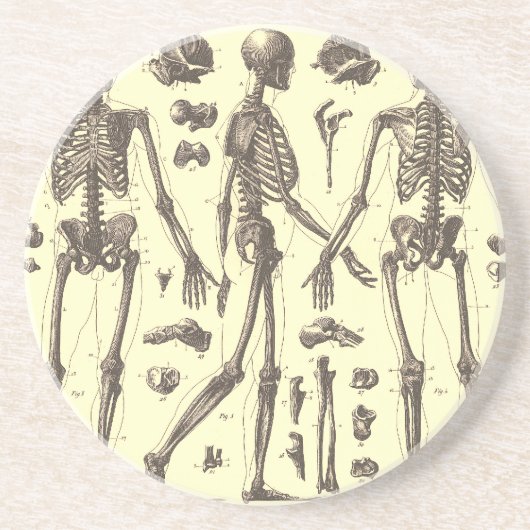  Skeleton Diagrammen Zandsteen Onderzetter (Voorkant)