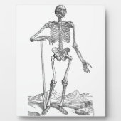 Skeleton Fotoplaat (Voorkant)