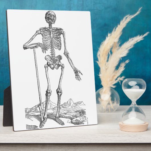Skeleton Fotoplaat (Zijkant)