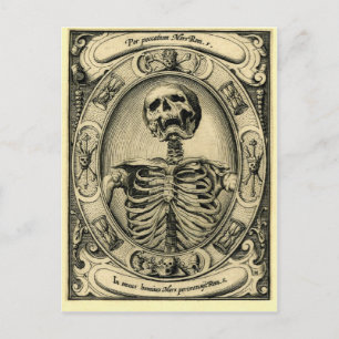 Skeleton, Gothic, Medieval Briefkaart