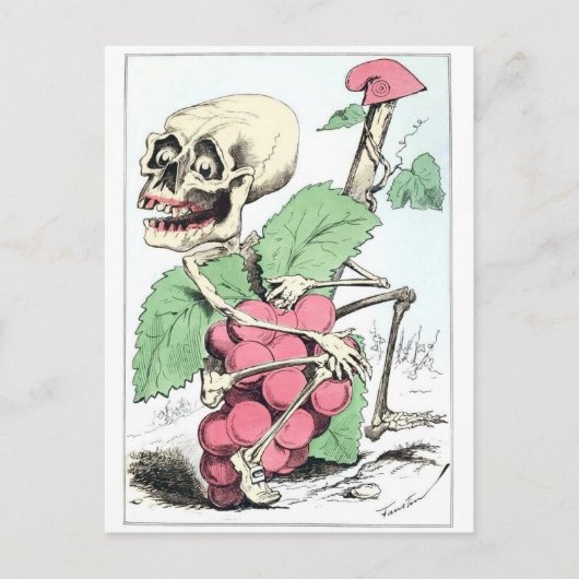 Skeleton grappe theif carte postale vintage (Devant)