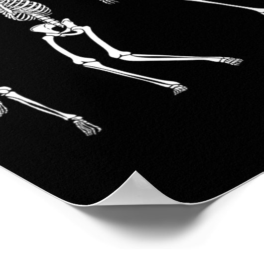 Skeleton Halloween LGBT Flag Skeleton Gay Pride MO Poster (Hoek)