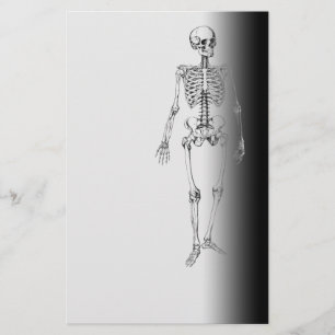 Skeleton Horror Gothic Halloween Scary Briefpapier