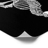 Skeleton kat kunst voor mannen vrouwen katachtige poster (Hoek)