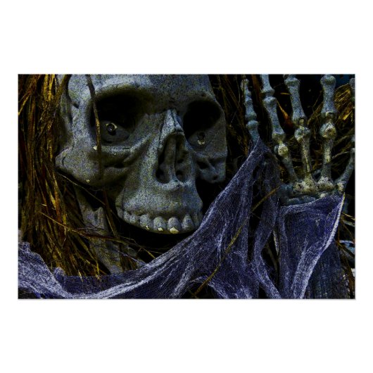 Skeleton Perfect Poster (Voorkant)