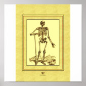 Skeleton Poster (Voorkant)