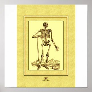 Skeleton Poster