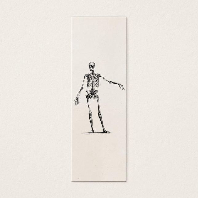 Skeleton Retro Anatomy Skeletons des années 1800 v (Devant)