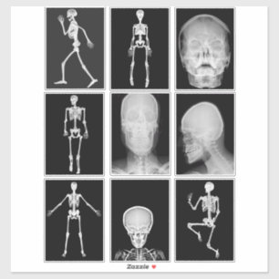 skeleton Skull Human Body XRAYS Collage sheet art Sticker