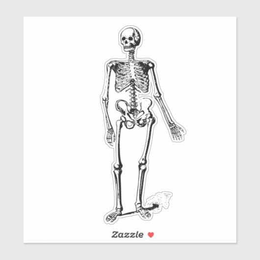 Skeleton Sticker (Vel)