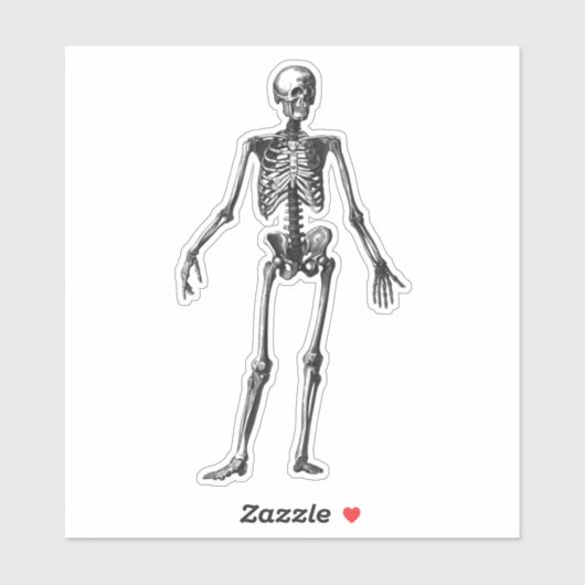 Skeleton Sticker (Vel)