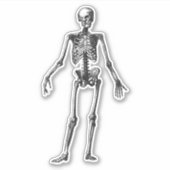 Skeleton Sticker (Voorkant)