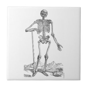 Skeleton Tegeltje