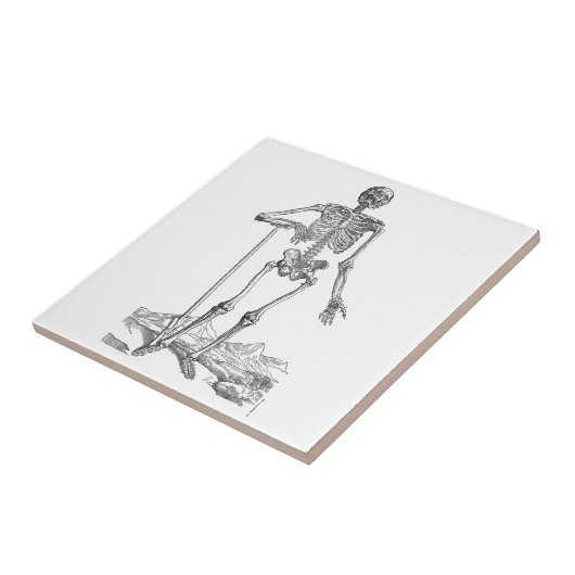Skeleton Tegeltje (Zijkant)