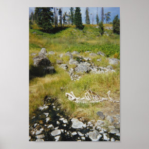 Skeleton van Elk Poster