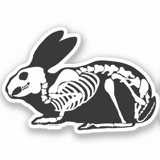 Skeletonkonijn Sticker (Voorkant)