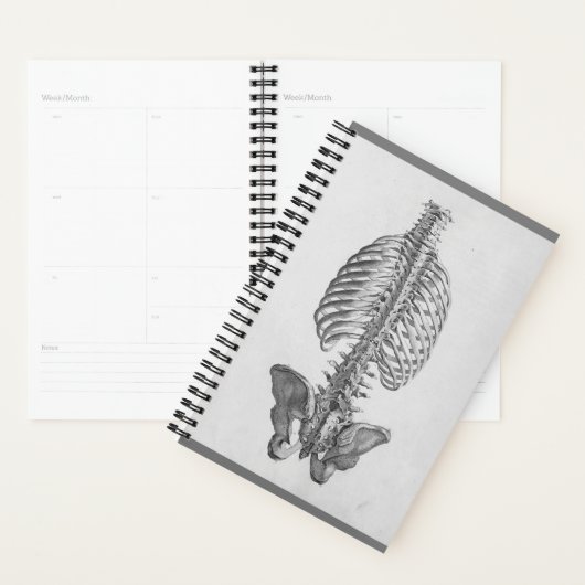 Skeletplanner Planner (Display)