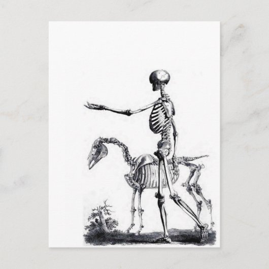 Skeletschedel Halloween Dag van de dode afdruk Briefkaart (Voorkant)