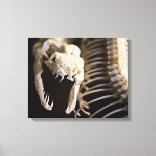 Skeletskelet voor slangen - canvas afdruk