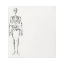 Skeletspieren Notitieblok