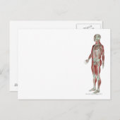 Skeletspierstelsel- en bindweefselaandoeningen briefkaart (Voorkant / Achterkant)