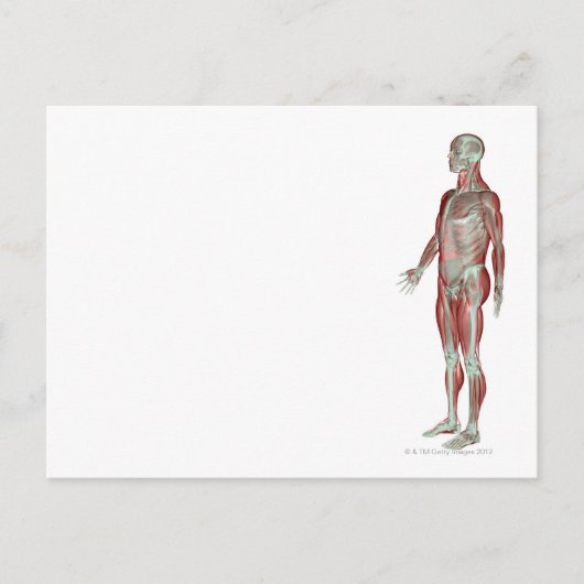 Skeletspierstelsel- en bindweefselaandoeningen briefkaart (Voorkant)