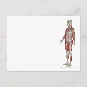 Skeletspierstelsel- en bindweefselaandoeningen briefkaart