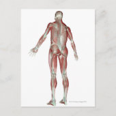 Skeletspierstelsel- en bindweefselaandoeningen briefkaart (Voorkant)