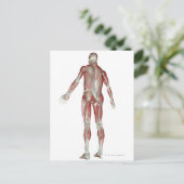 Skeletspierstelsel- en bindweefselaandoeningen briefkaart (Staand voorkant)