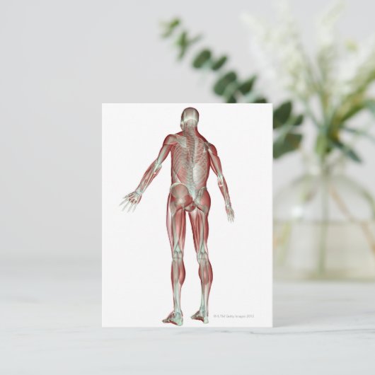 Skeletspierstelsel- en bindweefselaandoeningen briefkaart (Staand voorkant)