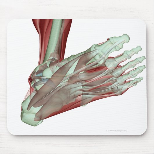 Skeletspierstelsel- en bindweefselaandoeningen muismat (Voorkant)