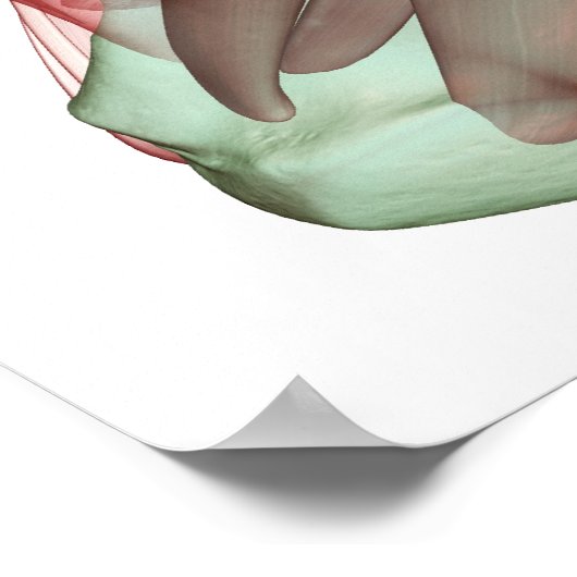 Skeletspierstelsel- en bindweefselaandoeningen poster (Hoek)