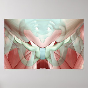 Skeletspierstelsel- en bindweefselaandoeningen poster