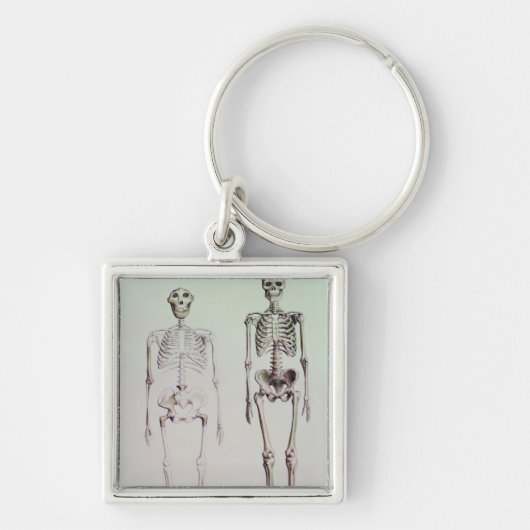 Skeletten van Australopithecus Boisei Sleutelhanger (Voorkant)