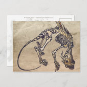 Skellie-Briefkaart Briefkaart (Voorkant / Achterkant)