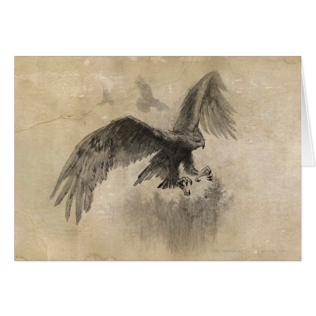 Sketch de Great Eagles (Devant horizontal)