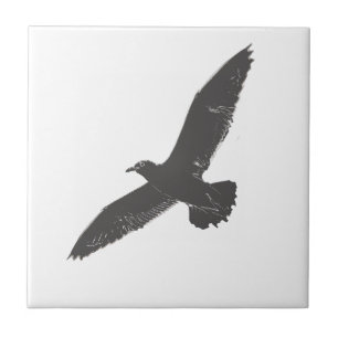 Sketch Flying Seagull Wings Tegeltje
