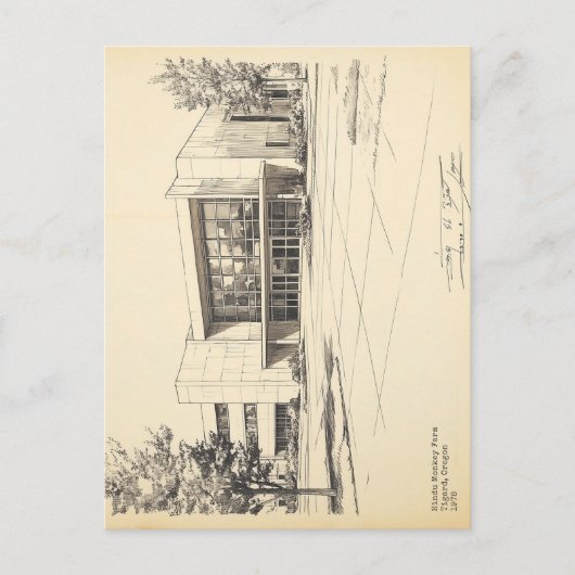 Sketch Hindu Monkey Boerderij Briefkaart (Voorkant)