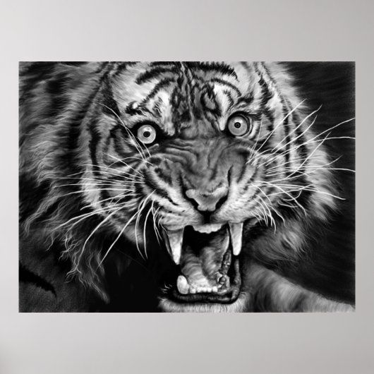 Sketch of a wild tiger in black and whiteblack,whi poster (Voorkant)